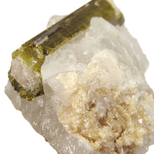 Load image into Gallery viewer, Green Tourmaline in Quartz Specimen # 135
