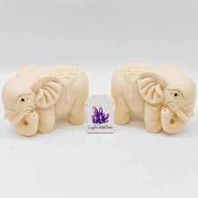 Load image into Gallery viewer, Tagua Nut Elephant Set
