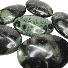 Load image into Gallery viewer, Kambaba Jasper Palm Stone