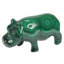 Load image into Gallery viewer, Malachite Hippo # 42