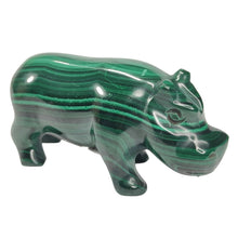 Load image into Gallery viewer, Malachite Hippo # 42