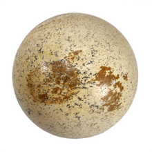 Load image into Gallery viewer, Picture Jasper Sphere # 169