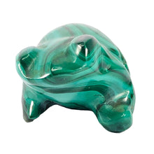 Load image into Gallery viewer, Malachite Frog P.I # 122