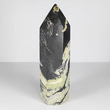 Load image into Gallery viewer, Serpentine and Hematite Point # 20