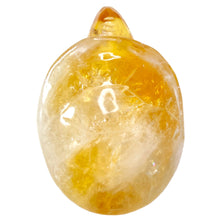 Load image into Gallery viewer, Citrine Turtle # 147