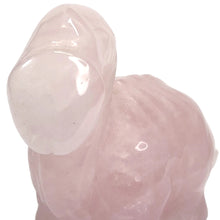 Load image into Gallery viewer, Rose Quartz Peckersaurus P.I # 127