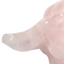 Load image into Gallery viewer, Rose Quartz Peckersaurus P.I # 127