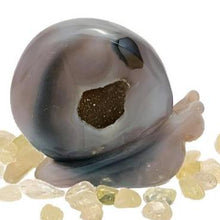 Load image into Gallery viewer, Agate Druzy Snail # 44