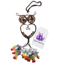 Load image into Gallery viewer, Chakra Chip Owl Hanger