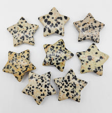 Load image into Gallery viewer, Stars Medium