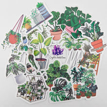 Load image into Gallery viewer, Collectable Stickers Assorted