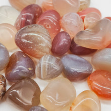 Load image into Gallery viewer, Gridding Sets