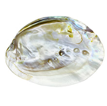 Load image into Gallery viewer, Pearl Shells