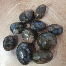 Load image into Gallery viewer, Que Sera Tumble