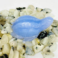 Load image into Gallery viewer, Blue Lace Agate Turtle #68