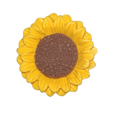 Load image into Gallery viewer, Terrarium Buddies
