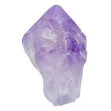 Load image into Gallery viewer, Amethyst Root Large Semi-Polished # 101
