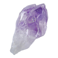 Load image into Gallery viewer, Amethyst Root Large Semi-Polished # 124
