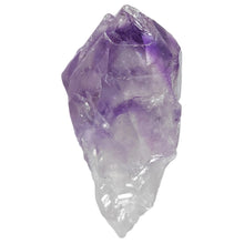 Load image into Gallery viewer, Amethyst Root Large Semi-Polished # 124
