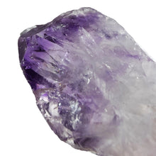 Load image into Gallery viewer, Amethyst Root Large Semi-Polished # 124
