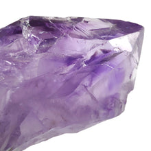 Load image into Gallery viewer, Amethyst Root Large Semi-Polished # 141
