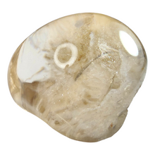 Load image into Gallery viewer, Polished Scenic Garden Quartz Freeform # 16
