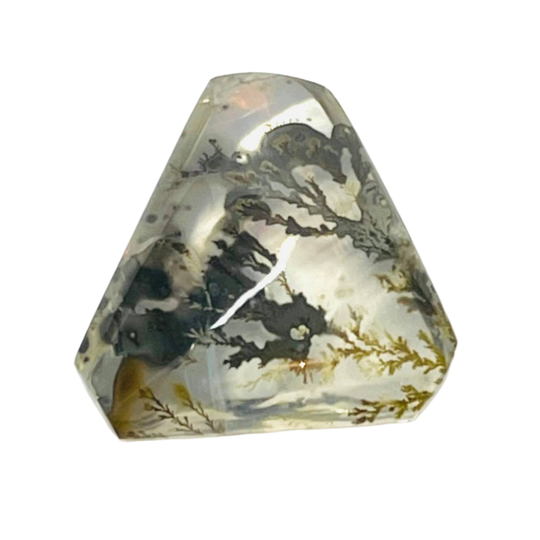 Dendrite in Quartz Cabochon # 53