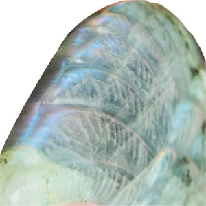 Labradorite Wing with Stand  # 57