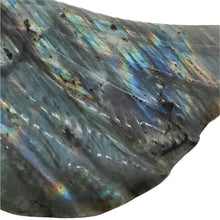 Load image into Gallery viewer, Labradorite Wing with Stand  # 113
