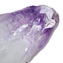 Load image into Gallery viewer, Amethyst Root Large Semi-Polished # 35

