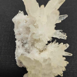 Gypsum Specimen # 23