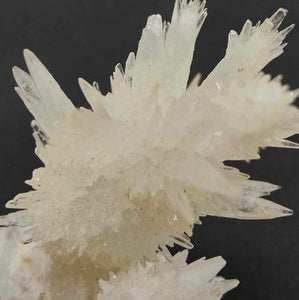 Gypsum Specimen # 81