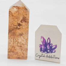 Load image into Gallery viewer, Dendritic Quartz Point # 142
