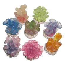 Load image into Gallery viewer, Terrarium Buddies
