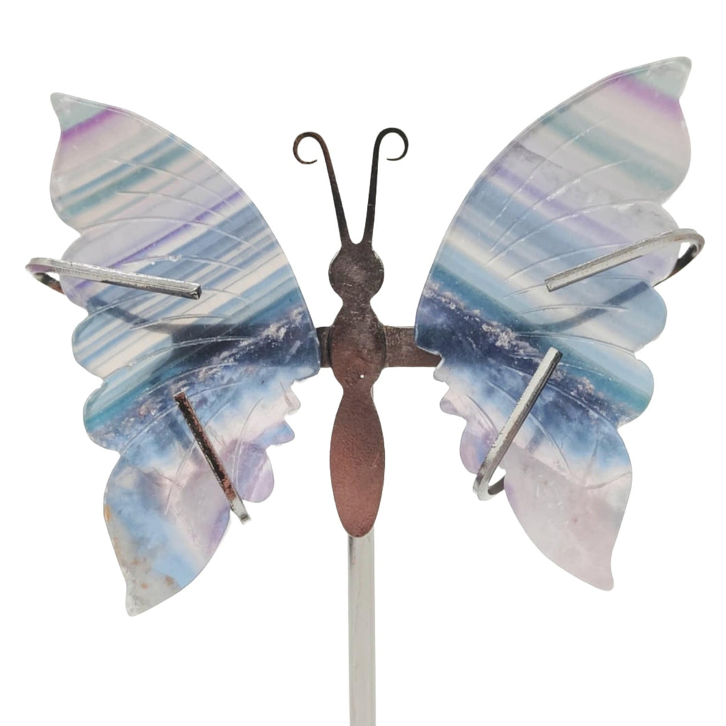 Rainbow Fluorite Wings + Stand # 96