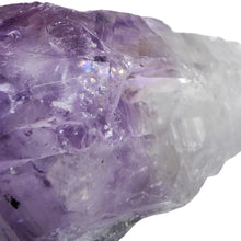 Load image into Gallery viewer, Amethyst Root Large Semi-Polished # 53
