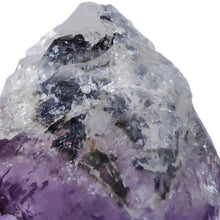 Load image into Gallery viewer, Amethyst Root Large Semi-Polished # 72
