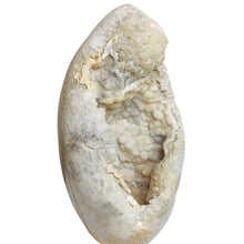 Load image into Gallery viewer, Agate Druzy Egg #42
