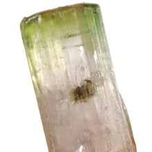 Load image into Gallery viewer, Watermelon Tourmaline Raw Specimen # 96
