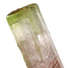 Load image into Gallery viewer, Watermelon Tourmaline Raw Specimen # 96
