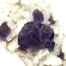 Load image into Gallery viewer, Purple Cubic Fluorite on Dolomite Specimen # 152
