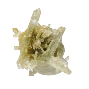 Gypsum Specimen # 73