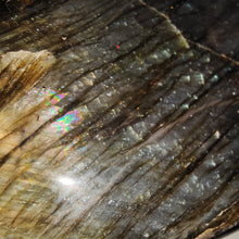 Load image into Gallery viewer, GEORGIA DORNBUSCH - Labradorite Freeform # 31
