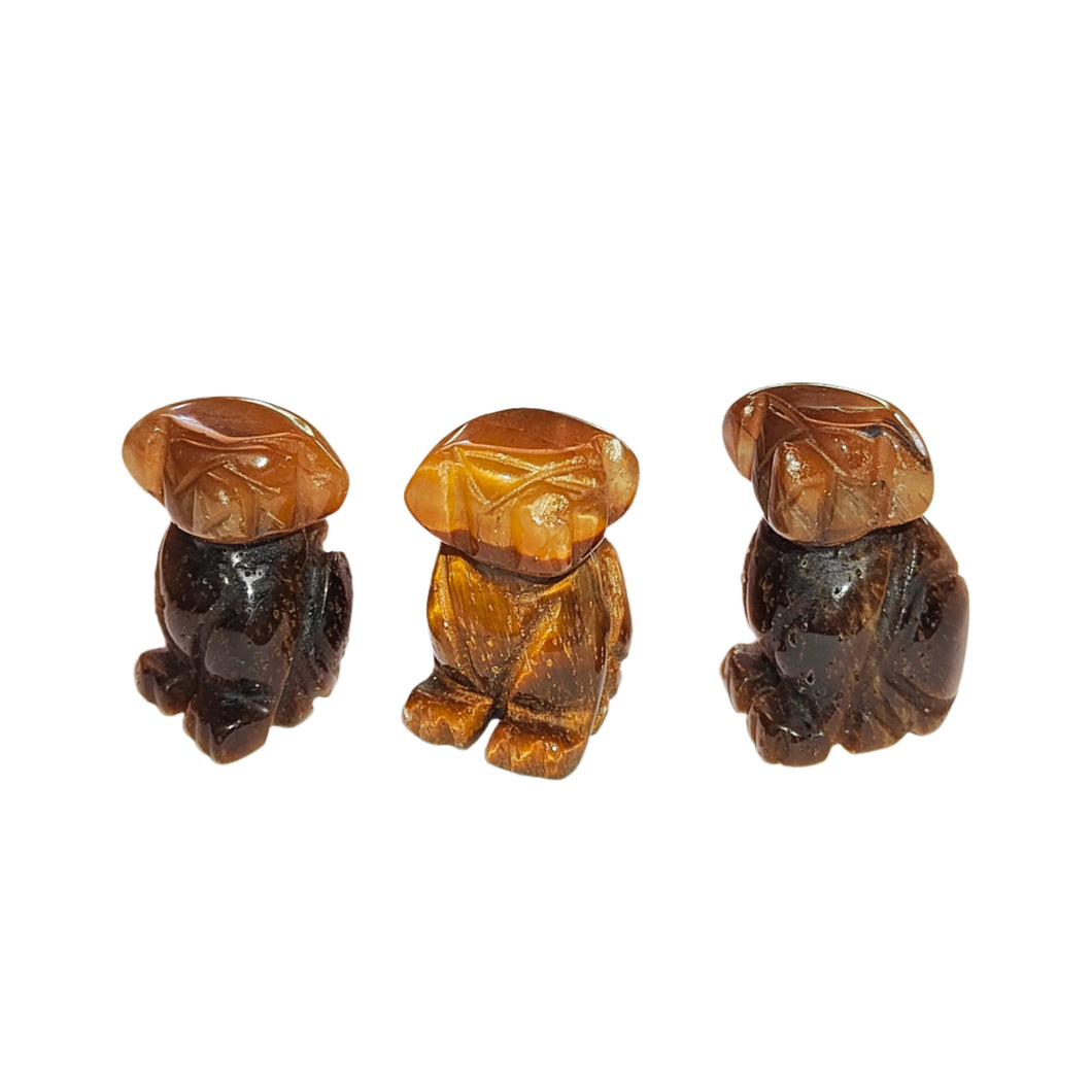 Tiger's Eye Dogs