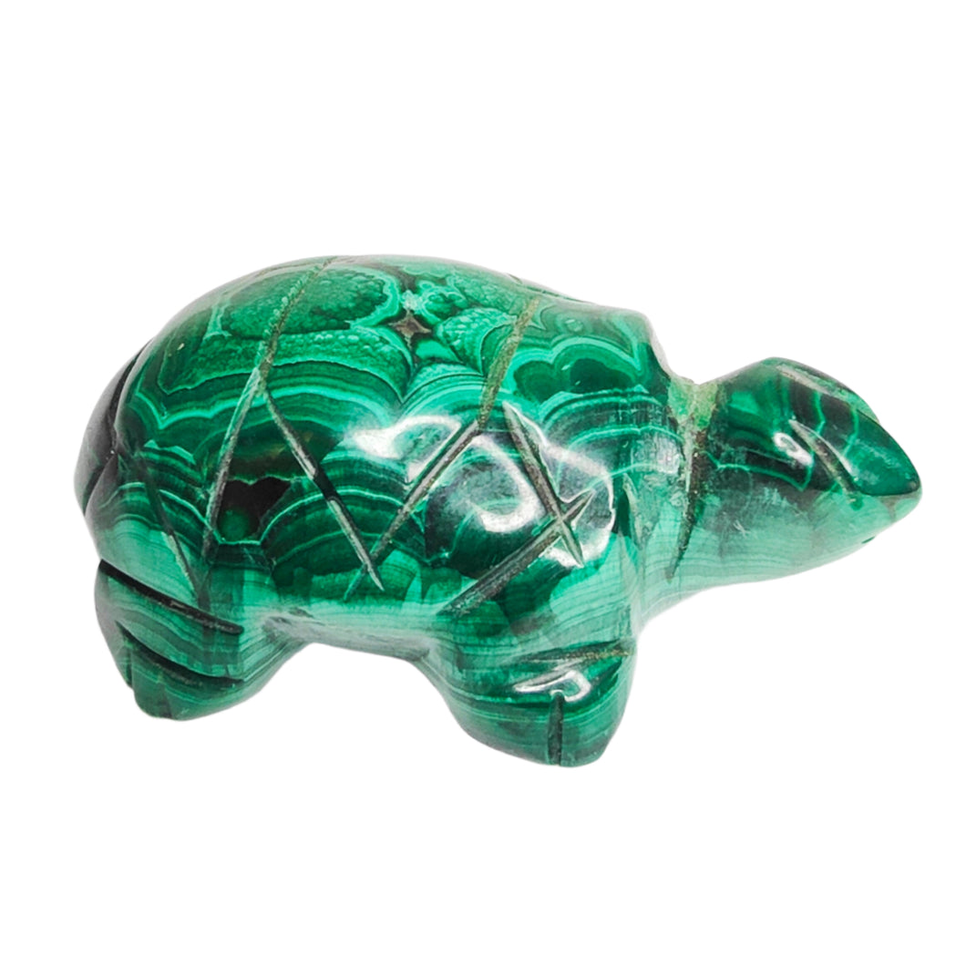 Malachite Turtle # 89