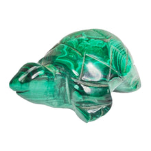 Load image into Gallery viewer, Malachite Turtle # 89
