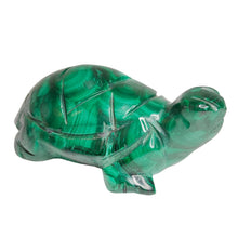 Load image into Gallery viewer, Malachite Turtle # 51
