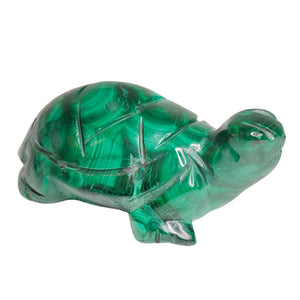 Malachite Turtle # 51