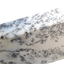 Load image into Gallery viewer, Dendritic Opal Freeform # 141
