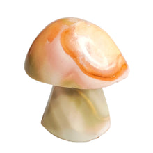 Load image into Gallery viewer, Polychrome Jasper Mushroom # 174
